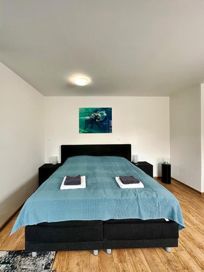Gallery Apartments Либерец Екстериор снимка