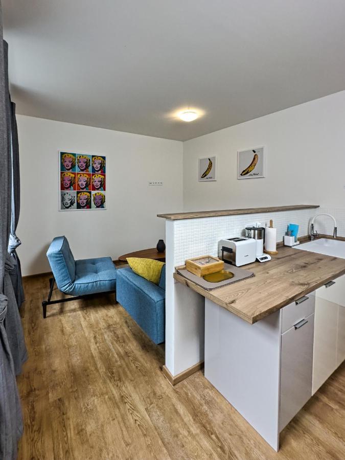 Gallery Apartments Либерец Екстериор снимка